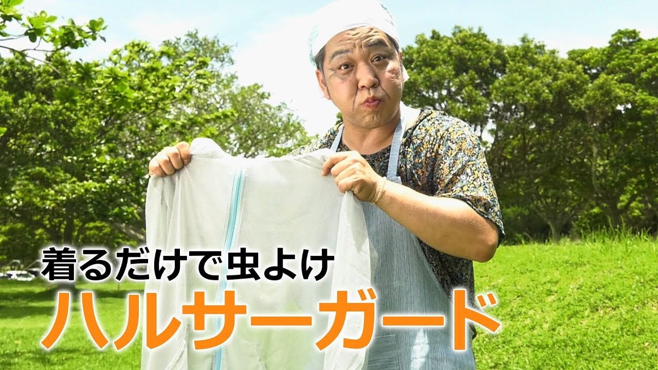 ハルサガード　テレビCM