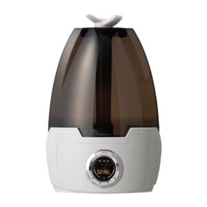 次亜塩素酸水 超音波式噴霧器 プロミスト PK-604EX(S) 空間除菌・除菌水・消臭
